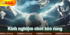 kinh nghiệm chơi kèo rung